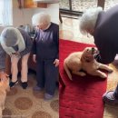 우리똥강아지 이미지