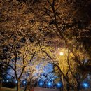 조선대학교 공과대학(1호관) 이미지