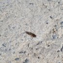 허니문 모텔 이미지