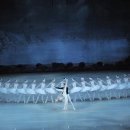 서울시티발레단 백조의 호수 이미지