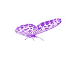 gif - 나비 이미지