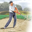 그린벙커 이미지