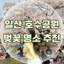 일산호수공원 | 일산 벚꽃 명소 일산호수공원 다녀온 후기 주차 포토스팟 추천