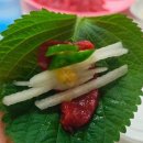 유쾌한 꼬막 - 서대문구 | 강릉 현지인 추천 맛집이라고 유명한 동부시장 맛집 꼬막포차