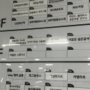 색갈은짙은갈색 이미지