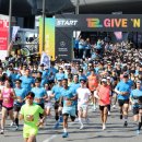 기브코리아 이미지