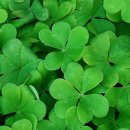 이마트24 망상해변점 이미지