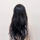 헤어커트 기본 이미지