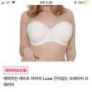 빅사이즈 브라( 유튜버 완다 강추) 공구하면 참여할 두팔이들 있으까? 이미지