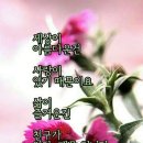 눈부시게 이미지