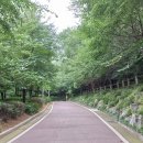 금낭화로26길 이미지