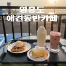 카페달보드레 티스토리