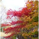 왕지아파트 옆 이미지