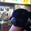 사거리게임장 이미지