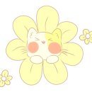 수원-0979 이미지