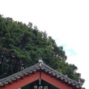 휠링 이미지