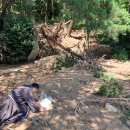 성심원 이미지