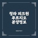 인천서구청라 가치가요 펫택시 | 청라 피크원 푸르지오 분양정보 랜드마크 오피스텔의 특징과 교통 호재 입지까지
