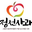 정선약국 이미지