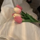 스튜디오 아침 공간유월일일 이미지