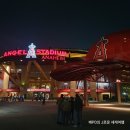 엘에이 여행 MLB 야구장 에인절스 스타디움 직관 후기 관람 팁