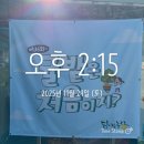 허농장 | 초2와 감귤따기 체험 / 포토스팟 가득한 감귤농장 / 내돈내산