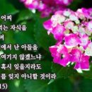 이사야 49장 15절 이미지