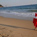 여우야문구 이미지