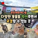 기억저장소 | 천안해피애니멀 다양한 동물들 먹이주면서 교감할 수 있는 곳