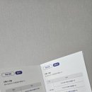 결혼식 D-154일 린다이어트 후기