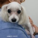 해동물병원 이미지