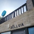 제주 서귀포 벨루아 이미지