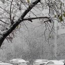 달달공인중개사사무소 이미지