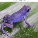 공인 행정사 사무소 이미지