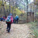 달성보 녹색길 이미지