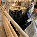 거창-거창-10 이미지