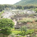 메이즈랜드 이미지