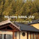 스테이담안 이미지