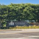 동강시스타 이미지