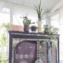 지리산 순심이네 캠핑 민박 이미지