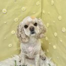 위례성대로16길 이미지