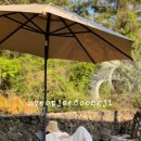 협재둥지 이미지