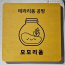 모모리움