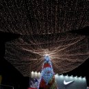 별빛광장 이미지