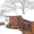 쌍둥이네민박