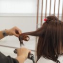 자연도담