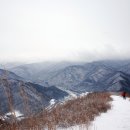 [주간도보] 겨울 억새 가득한 정선 민둥산 걷기/1월 12일(목) 이미지