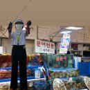 비에스컴퍼니 | 가덕 , 거제 워킹 문어 조행기