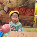 청과휴게실 | 안성 스타필드 문화센터 북극곰의 오감정류장 6개월문센후기