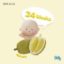 11545-03-21-37 | 임신일기 ㅣ38주차 _ 임신10개월차 임신막달 임산부, 임신후기